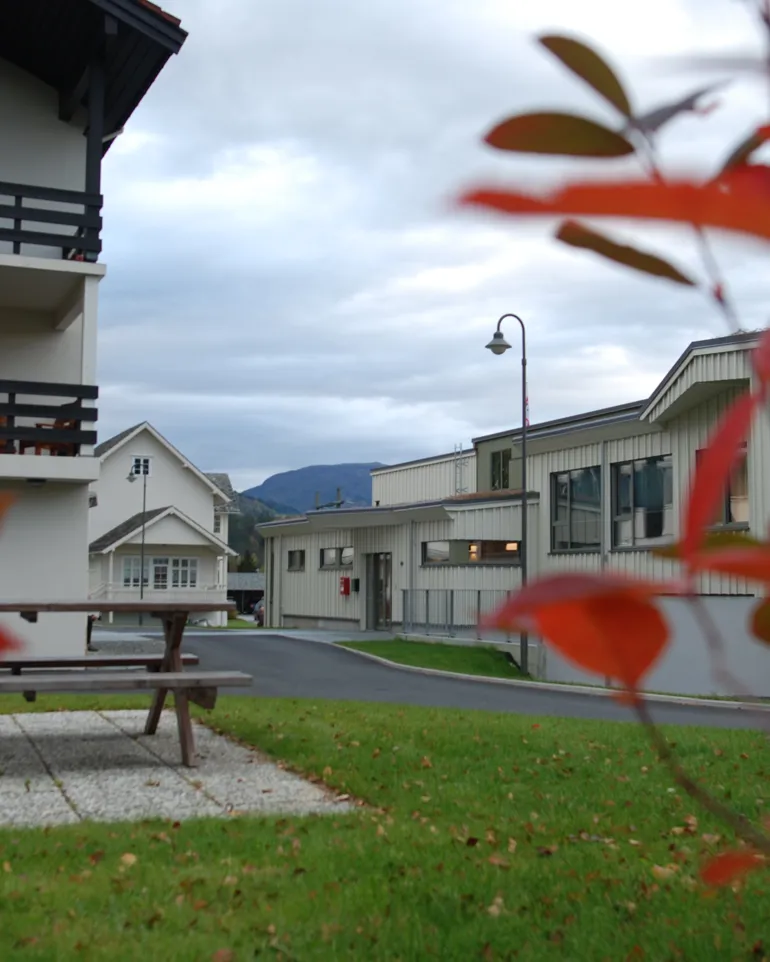 Stemningsbilde, Voss DPS